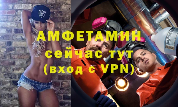 прущие грибы Ростов