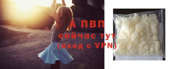прущие грибы Ростов