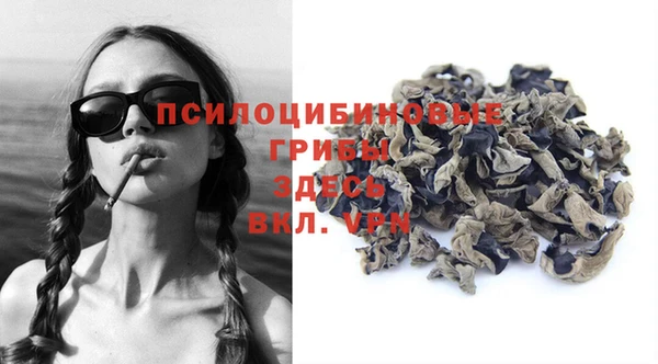 эйфоретик Пролетарск