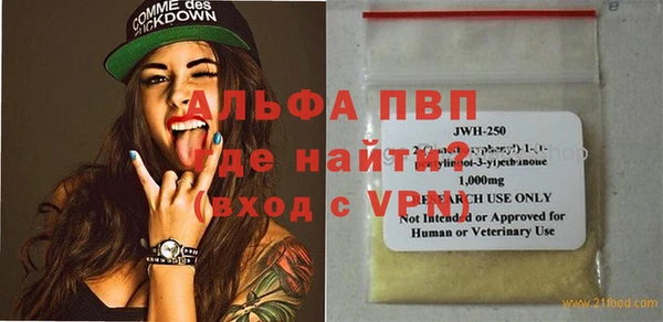прущие грибы Ростов