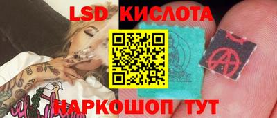 стафф Партизанск