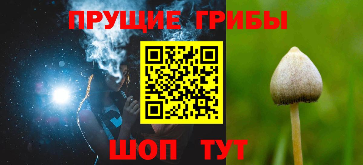 Псилоцибиновые грибы прущие грибы Усинск